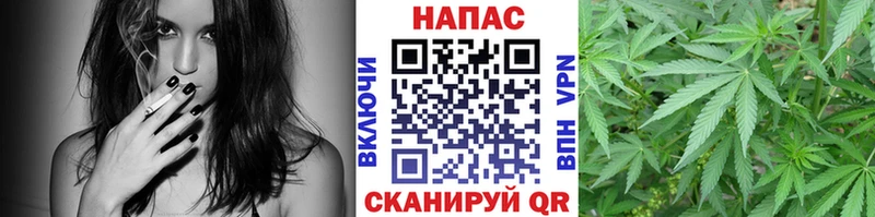 Купить где  Красково  Канабис OG Kush 